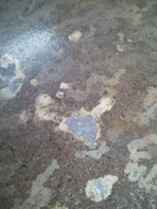 Industrial Concrete Floor Problems Black Bear Concrete Coatings